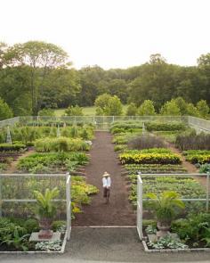 Cantitoe Corners vegetable garden. | Repin via Martha Stewart