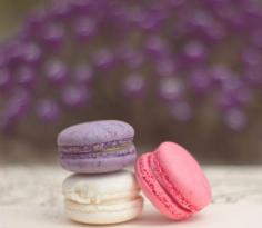 macaron