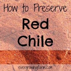 How I Preserve Foods - How to Preserve Red Chile - powder