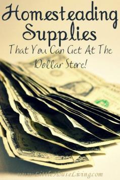 Here's a great list of Homesteading Supplies You Can Get at the Dollar Store! No need to spend extra money on things you need!