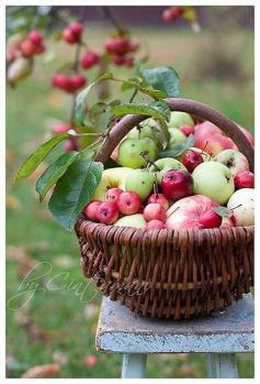 Day 10: What says autumn more than apple picking season and hot cider? #stageahome #inspireabuyer
