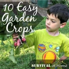 10 Easy Garden Crops