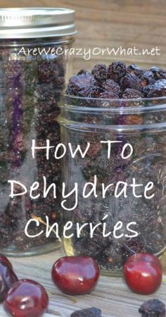 How I Preseve Foods -- How To Dehydrate Cherries~AreWeCra...