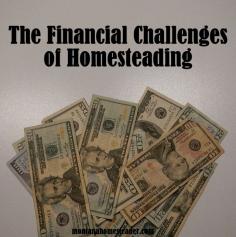 The Financial Challenges of Modern Day Homesteading