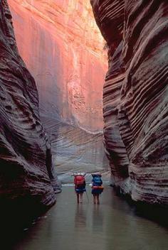 One of my favorite hikes I've taken in Utah through Zion National Park, United States.