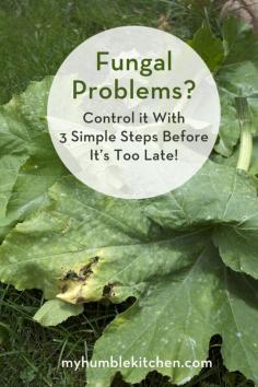 How to Control Powdery Mildew with These 3 Simple Steps