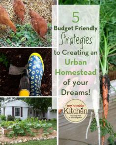 5 Budget Friendly Strategies To Creating an Urban Homestead of Your Dreams! | myhumblekitchen.com