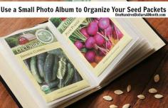 How to Organize Seed Packets - use a small photo album