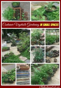 If you don't have space in your yard for a big vegetable garden, you can still grow veggies. Try container gardening. See how to do this at thegardeningcook.com/container-vegetable-gardening