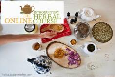 GIVEAWAY: Introductory Herbal Course Online at The Herbal Academy of New England ENTER TO WIN !