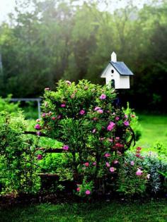 It's easy to make your garden into a more inviting place for birds and butterflies to gather.