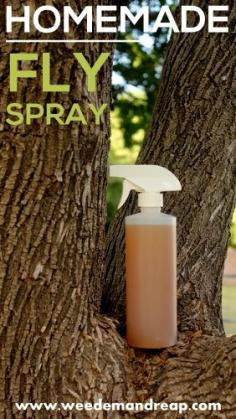 Homemade Fly Spray - Weed 'em &amp; Reap