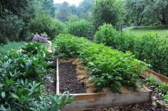 what to plant now for a fall vegetable garden - A Way To Garden (state by state dates for fall planting)
