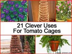 21 Clever “Other” Uses For Tomato Cages -