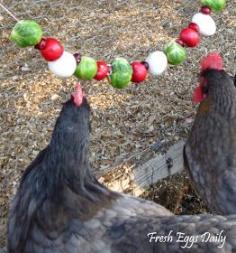 Fresh Eggs Daily®: Edible Christmas Garlands