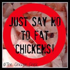 How to Avoid Fatty Liver Hemorrhagic Syndrome & Heat Stroke in Backyard Chickens