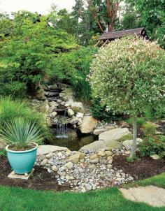 This home's broken hot tub became a pond.