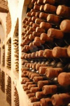 Old wine bottles laying in winery | Photo by Angela Luchianiuc with Pin.-It-Button on 123rf.com