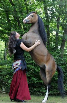 A horse and its girl hug
