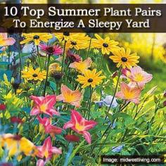 10 Top Summer Plant Pairs To Energize A Sleepy Yard