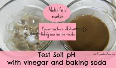 Test soil pH with vinegar and baking soda | PreparednessMama