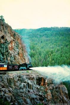 Durango Blues Train | Stunning Colorado views, Booze & Great Music | FamilyFreshCookin... — Family Fresh Cooking
