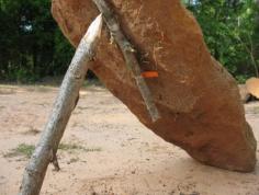 Make a Fast, Simple, and Effective Baited Deadfall Trap