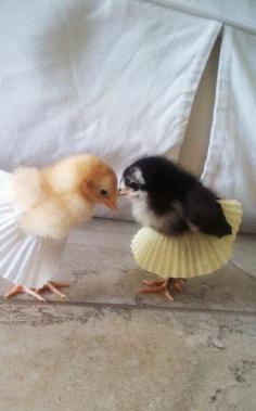Cupcake liner chick tutus.  For your spare time...