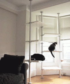 Cat Tree Design Ideas, Simple DIY Cat Furniture