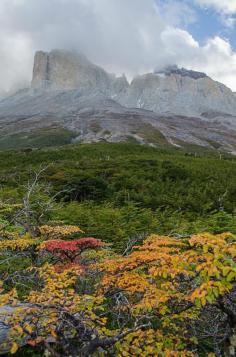 Misty mountains -- Torres del Paine  National Park, in Chile's Patagonia region