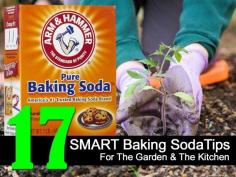 17 Smart Baking Soda Tips For The Garden &amp; The Kitchen -
