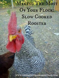 Slow Cooked Rooster: Making The Most Of A Mean Ol' Bird - The Browning Homestead