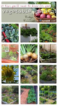 25 Vegetable Garden Tips from Hometalk