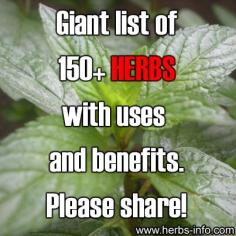 List of Herbs | Herb List with Pictures | Herbs Info