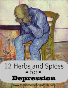 12 Herbs and Spices for Depression (plus additional resources)