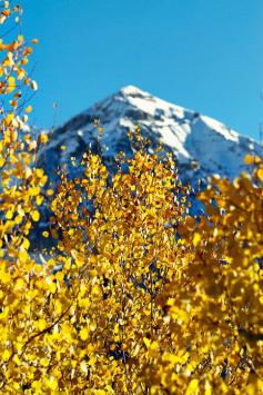 Glorious Fall in Telluride, Colorado | FamilyFreshCookin...