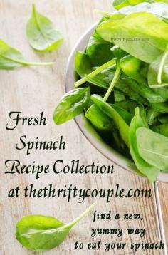 Ways to use fresh garden veggies. Fresh spinach recipes are so good! Find new ideas for using your garden veggies starting with fresh spinach recipes. Find a new favorite way to prepare and enjoy spinach!