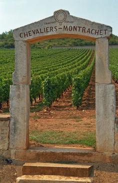 A stone portico to the vineyard Chevalier-Montrachet, France.  Photo: Chartron Dupard, Danita Delimont