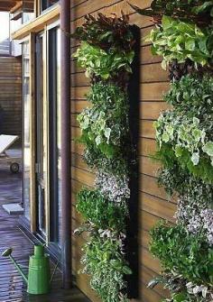 14 benefits of vertical gardens #garden