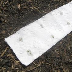 Making your own seed tape can save you time, ensures your plants are spaced out correctly, and is a great "rainy day" project for kids.