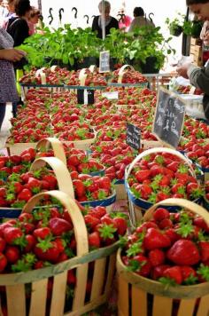 Strawberries, Provence, France