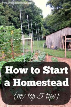 Top 5 Tips On How To Start A Homestead. #pioneersettler