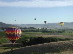 Hot Air Balloons Over Napa Valley
