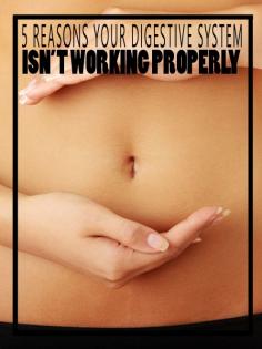 5 Reasons Your Digestive System Isn't Working Properly - Homesteading and Health