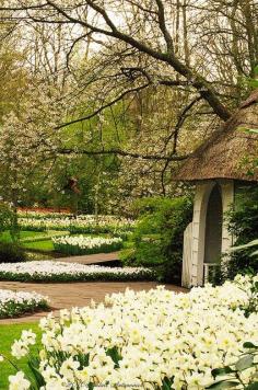 Gorgeous spring garden