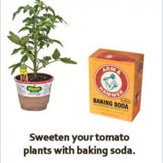Sweeten Your Tomatoes With Baking Soda.