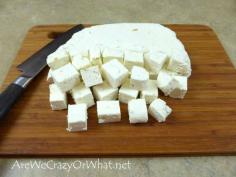 How To Make The World's Easiest Cheese Plus A Delicious Indian Recipe~AreWeCrazy...