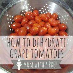 Have you ever purchased those pint containers of grape tomatoes, and then forgot about them? They get a slimy and then fuzzy, and then you throw them away.  Well, let's talk about the quickest way to preserve them! Dehydration!!