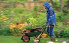 Wet-Weather Gardening: 6 Tips When The Rain Just Won’t Go Away  #gardening #prepare4life
