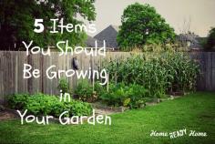 5 Items You Should Be Growing in Your Garden (Home Ready Home)